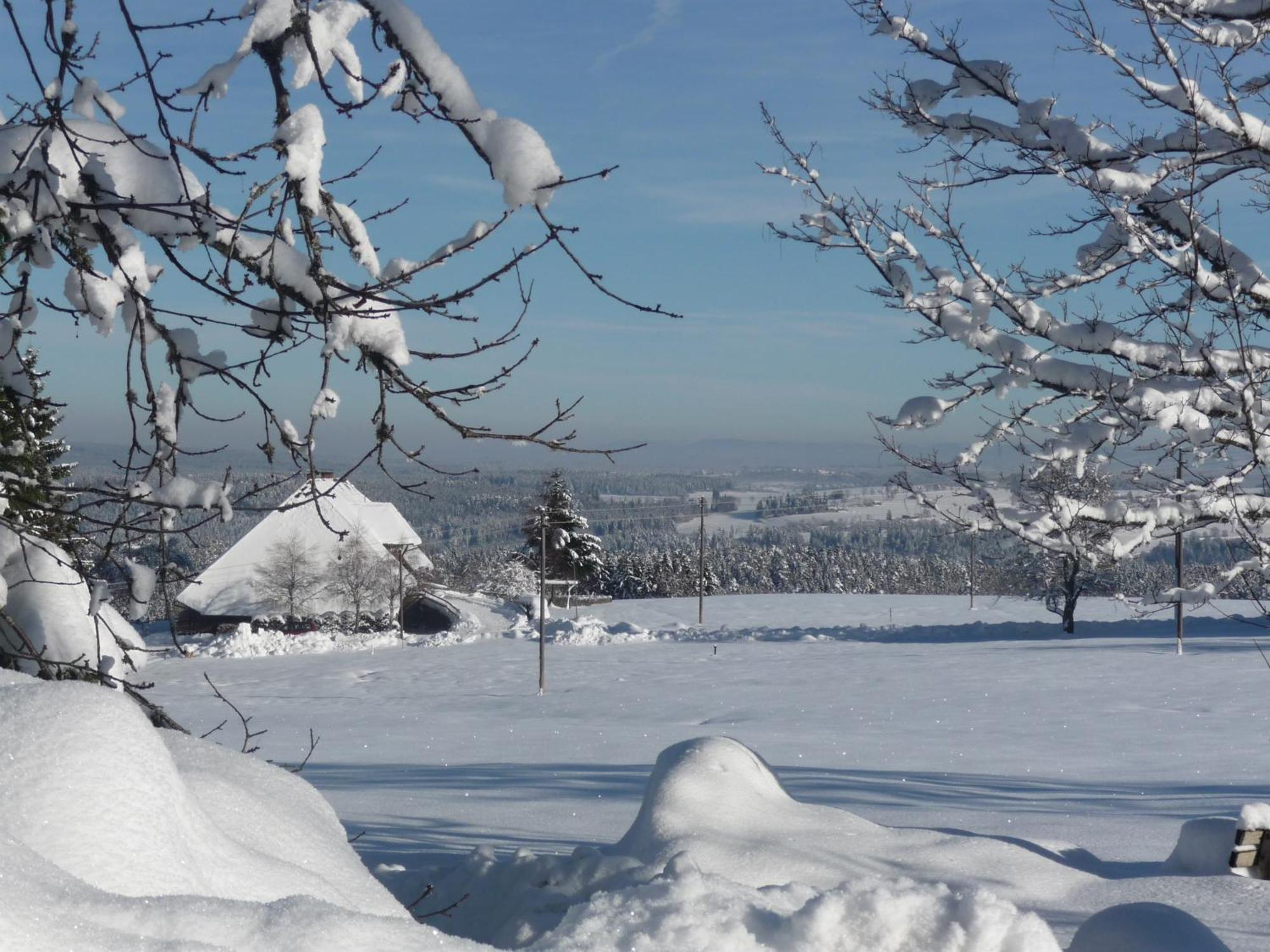 Hoehenpension Glashuette Bed&Breakfast Fruehstueckspension Hotel Garni บอนดอร์ฟ อิม ชวาร์ซวัลด์ ภายนอก รูปภาพ