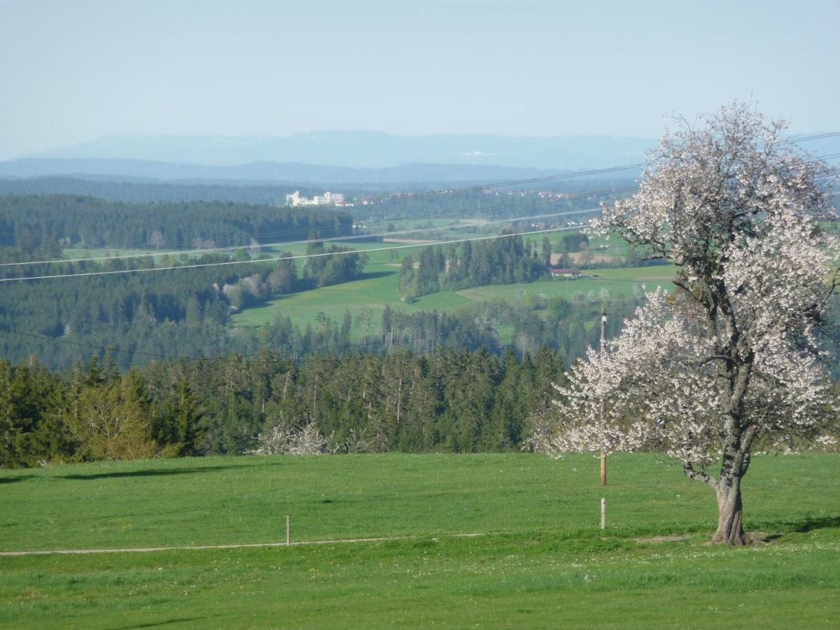 Hoehenpension Glashuette Bed&Breakfast Fruehstueckspension Hotel Garni บอนดอร์ฟ อิม ชวาร์ซวัลด์ ภายนอก รูปภาพ